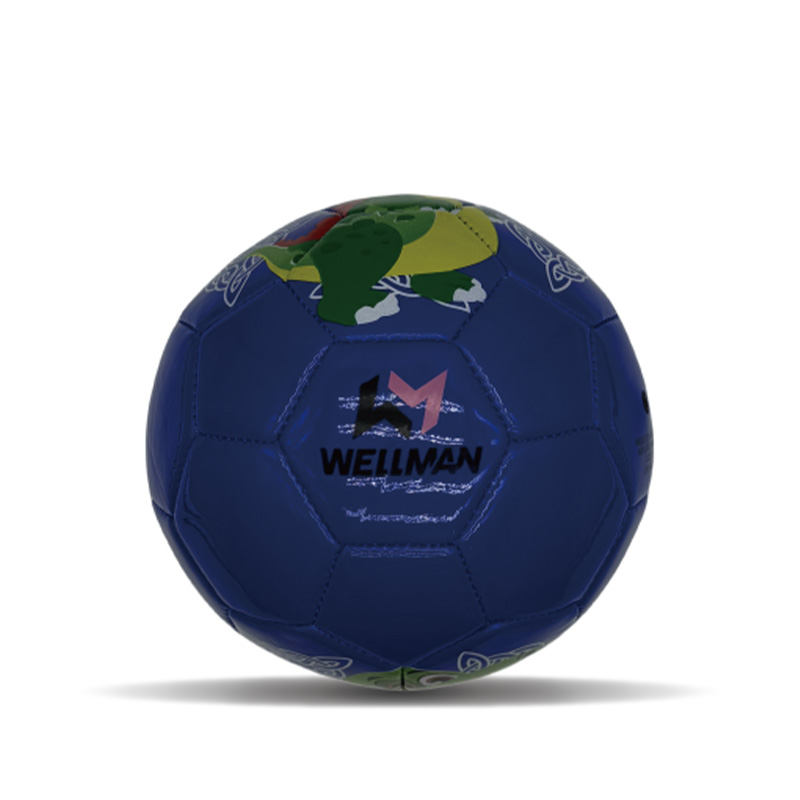 Mini pallone da calcio Mini calcio in PVC cucito a macchina per ragazzi ragazzi